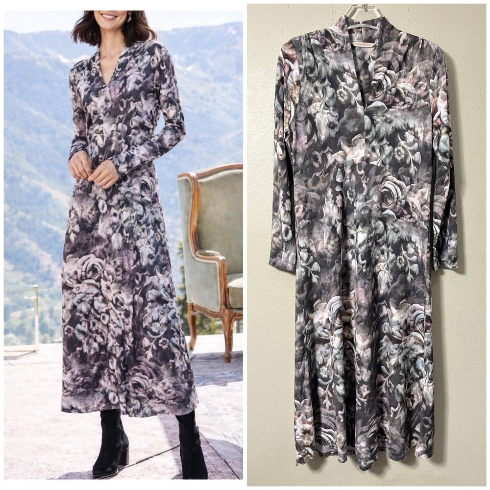 Soft Surroundings Naima Floral Moody Dark Academia Maxi Dress Petite Medium